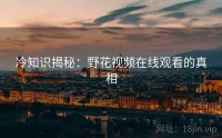 冷知识揭秘：野花视频在线观看的真相