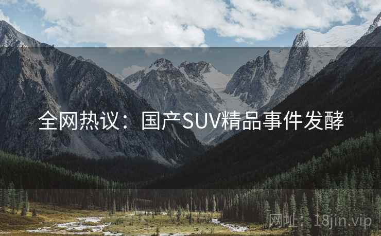 全网热议：国产SUV精品事件发酵