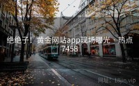绝绝子！黄金网站app现场曝光 · 热点7458